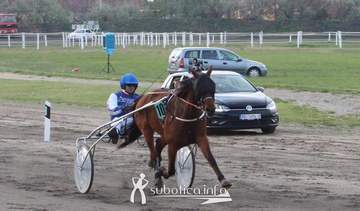 Autokuća Tasić na „Otvaranju sezone 2019“