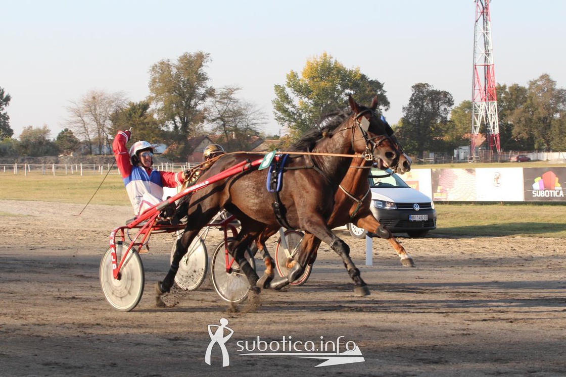AK Tasić na Trci grada Subotica i Revanš Derby-u