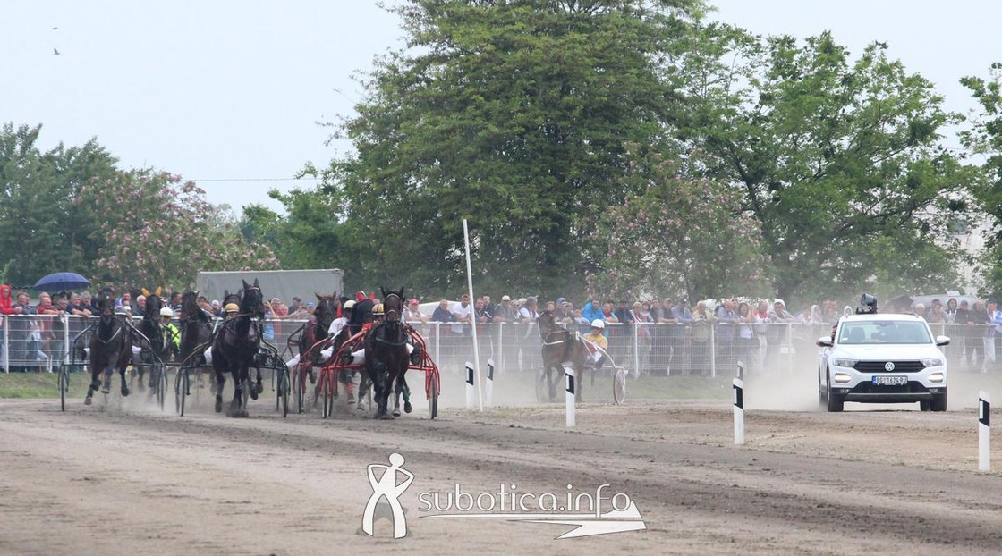 AK Tasić na Fliger Derby-u