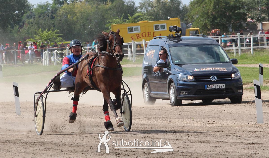 AK Tasić na trkama "Dužijanca"