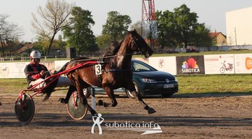 22.4.2018. Hipodrom Subotica - Otvaranje sezone