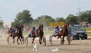 AK Tasić na trkama "Dužijanca"