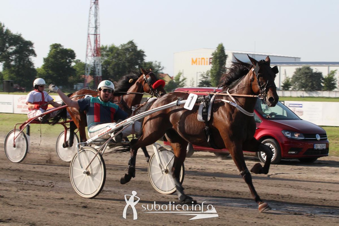  Volkswagen vozilo - zvanično vozilo sudija!