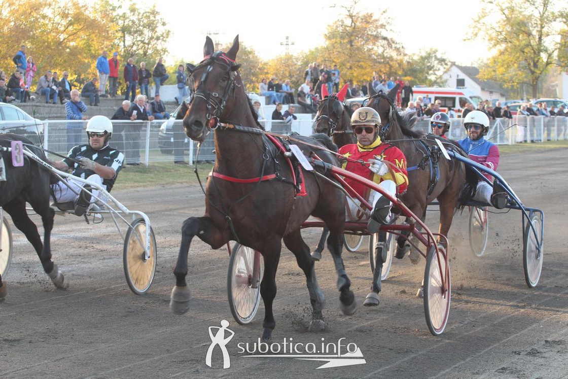 AK Tasić na Trci grada Subotica i Revanš Derby-u
