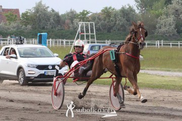 AK Tasić na Fliger Derby-u