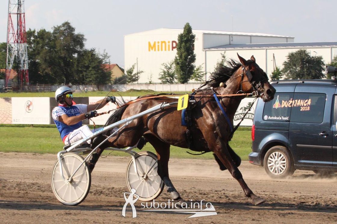 AK Tasić na trkama "Dužijanca"
