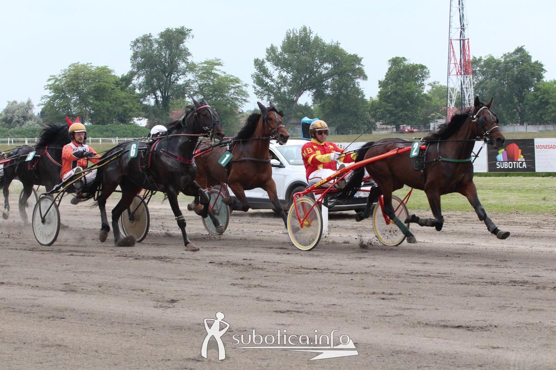 AK Tasić na Fliger Derby-u