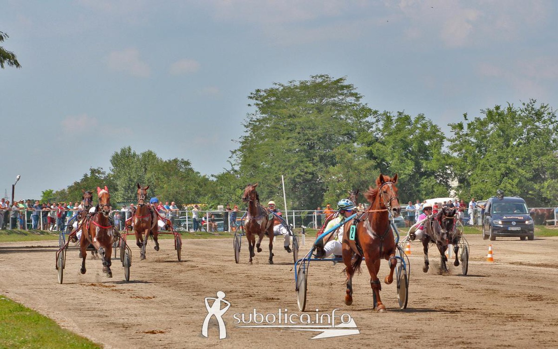 AK Tasić na trkama "Dužijanca"