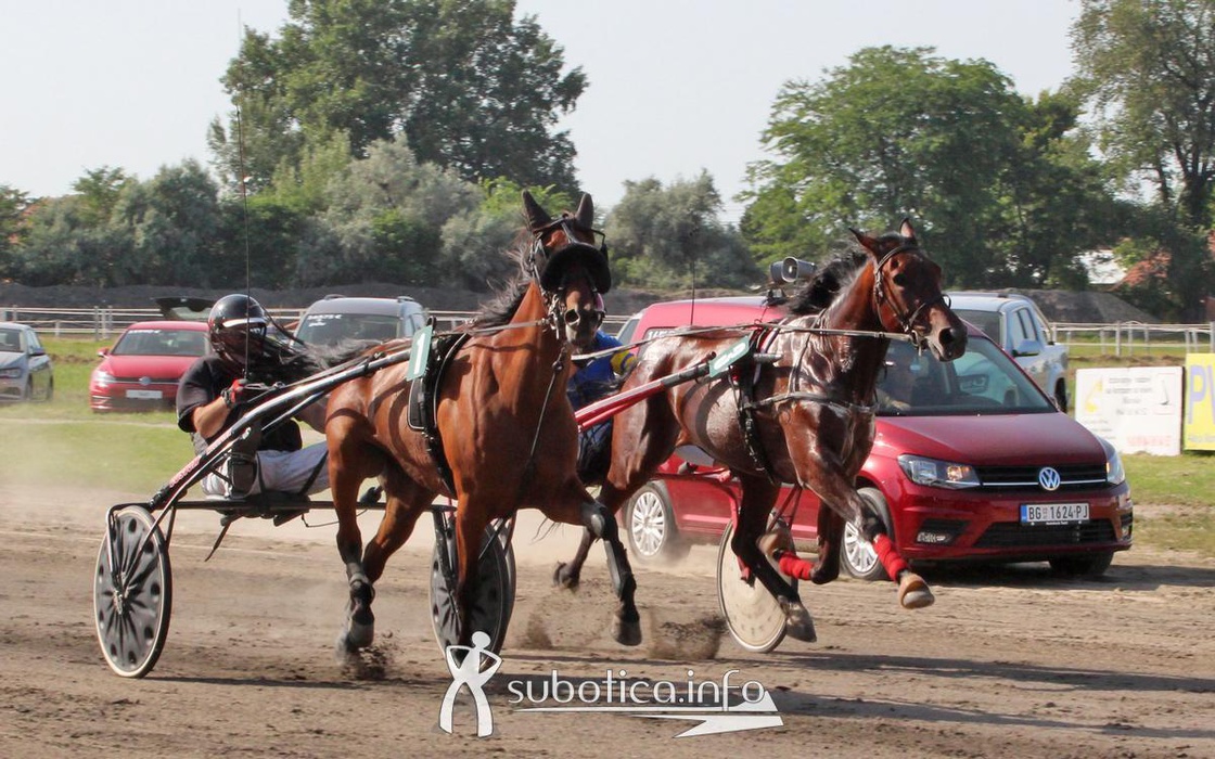  Volkswagen vozilo - zvanično vozilo sudija!