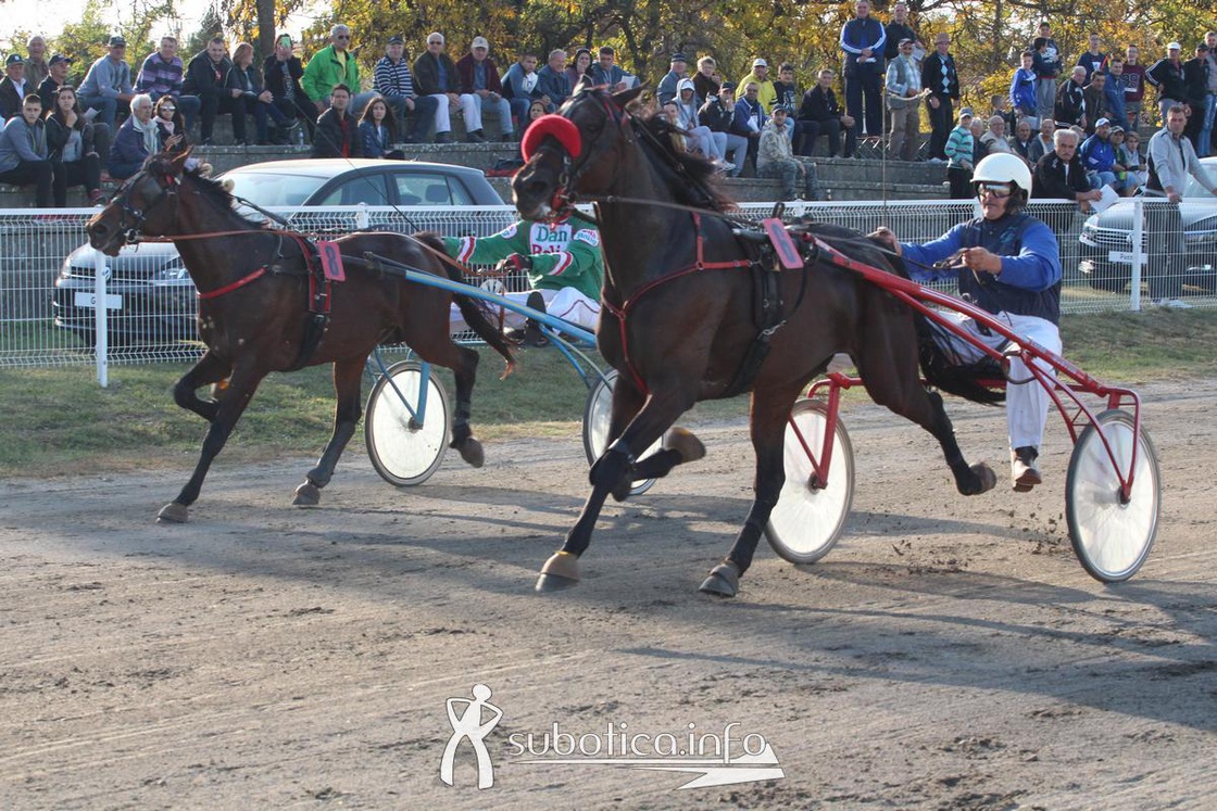 AK Tasić na Trci grada Subotica i Revanš Derby-u