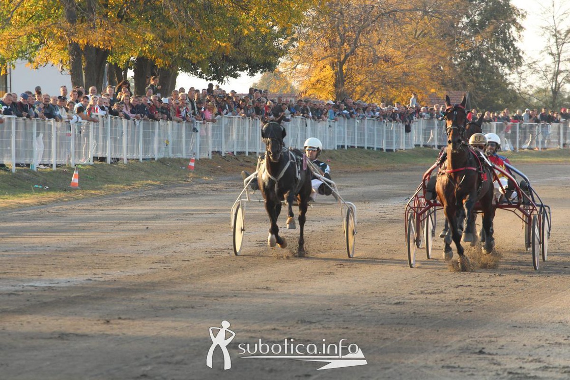 AK Tasić na Trci grada Subotica i Revanš Derby-u
