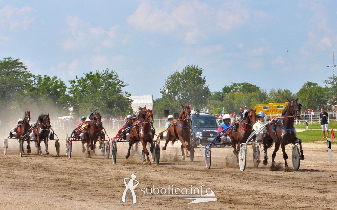 AK Tasić na trkama "Dužijanca"