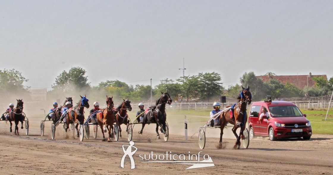  Volkswagen vozilo - zvanično vozilo sudija!