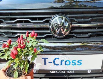 Berbanski dani Palić 2025