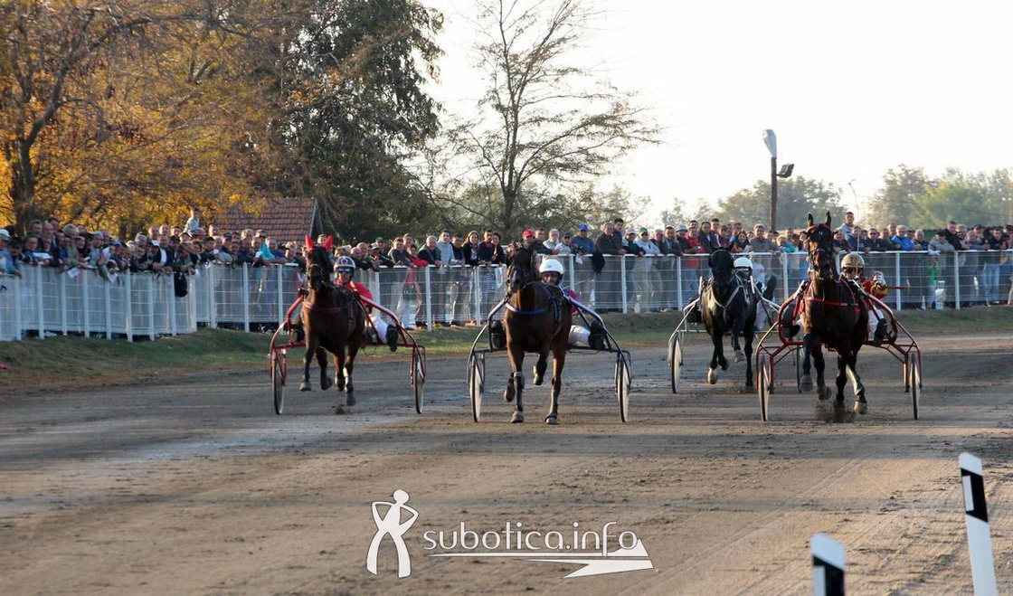 AK Tasić na Trci grada Subotica i Revanš Derby-u