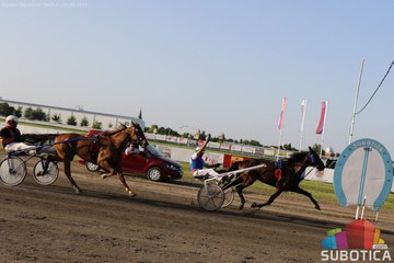 AK Tasić na "Subotičkoj milji 2019."