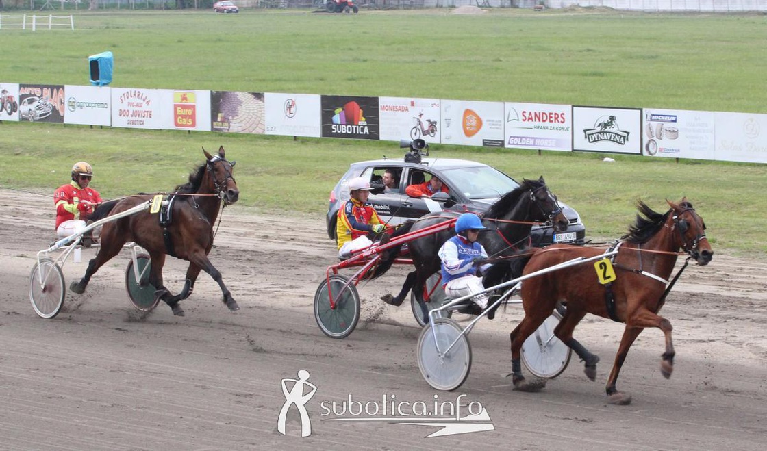 Autokuća Tasić na „Otvaranju sezone 2019“