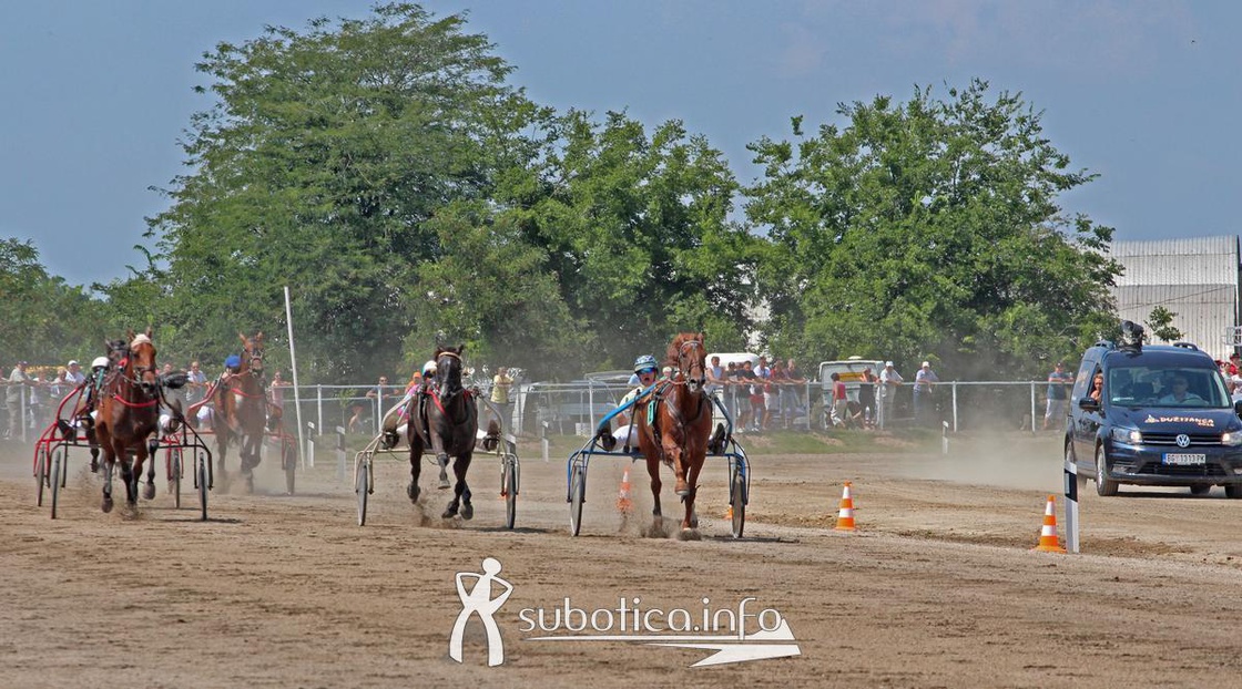 AK Tasić na trkama "Dužijanca"