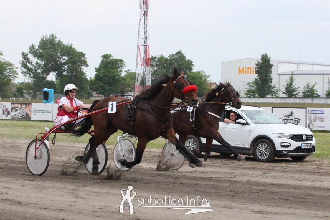AK Tasić na Fliger Derby-u