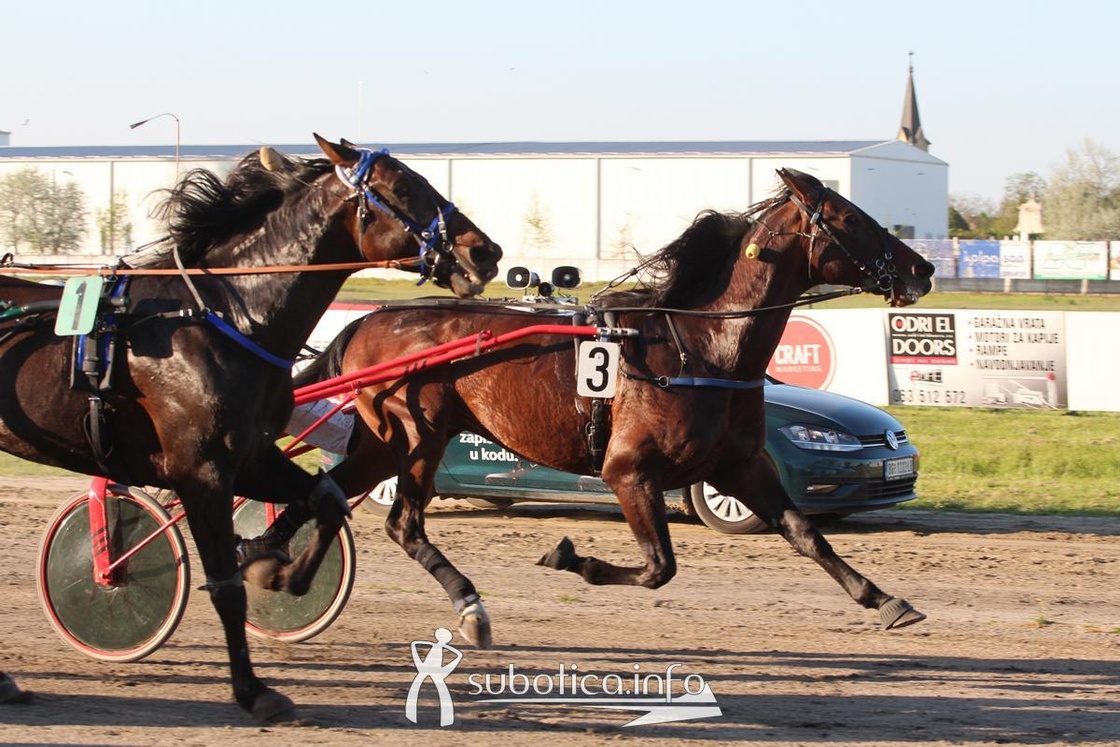 Hipodrom Subotica - Otvaranje sezone