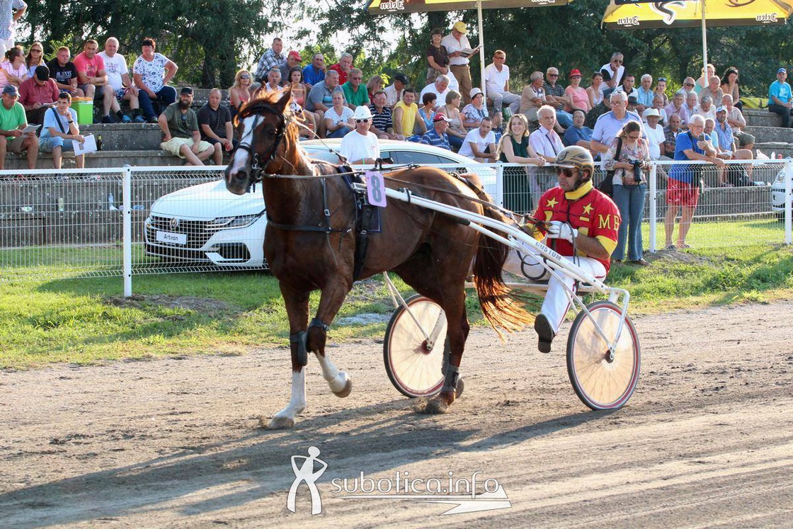 AK Tasić na trkama "Dužijanca"