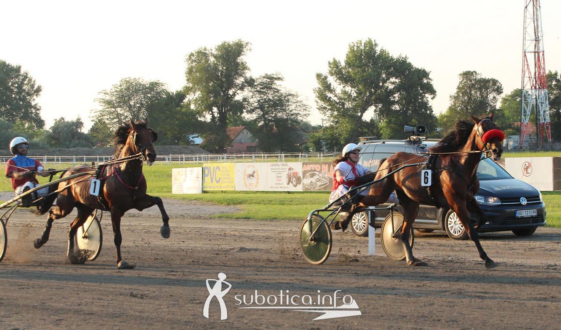 AK Tasić na trkama "Dužijanca"