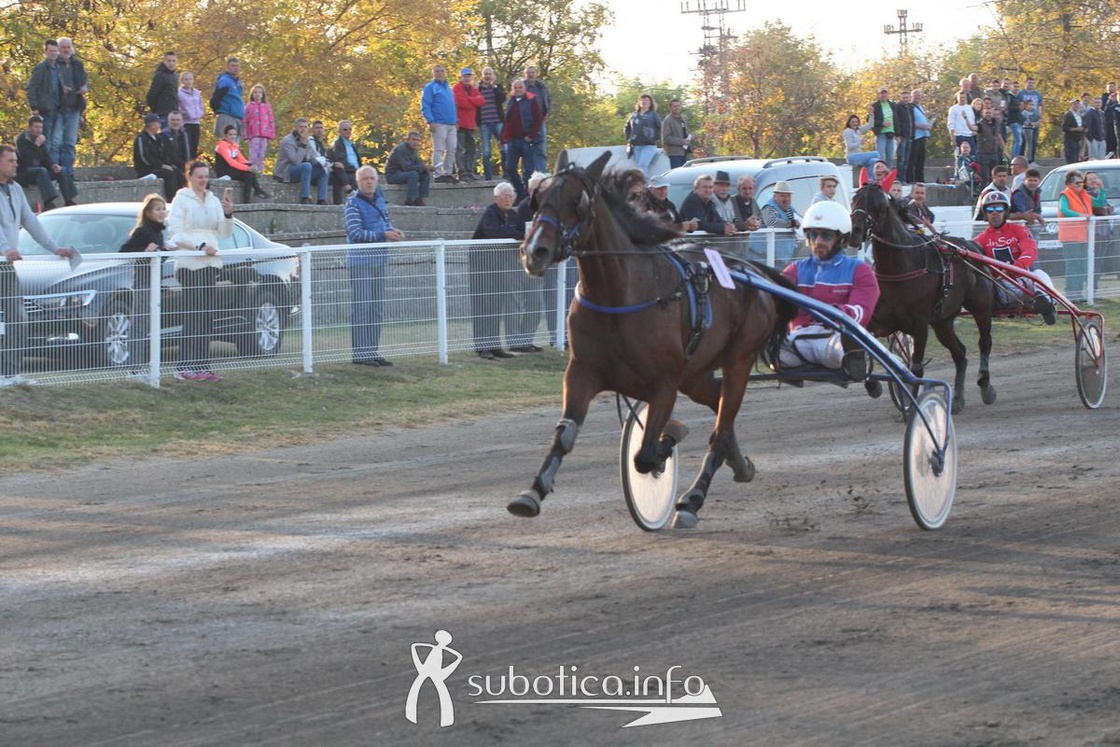 AK Tasić na Trci grada Subotica i Revanš Derby-u