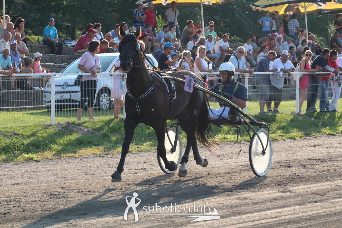 AK Tasić na trkama "Dužijanca"