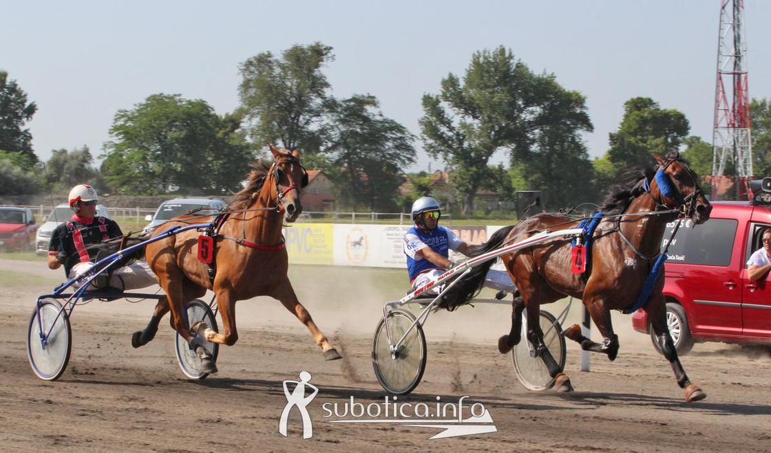  Volkswagen vozilo - zvanično vozilo sudija!