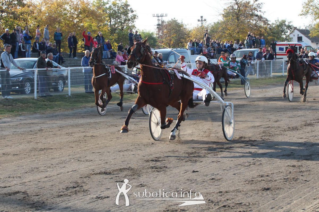 AK Tasić na Trci grada Subotica i Revanš Derby-u