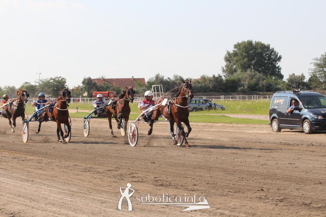 AK Tasić na trkama "Dužijanca"