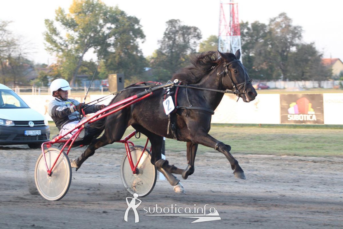 AK Tasić na Trci grada Subotica i Revanš Derby-u