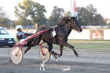 AK Tasić na Trci grada Subotica i Revanš Derby-u