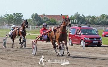 AK Tasić na "Subotičkoj milji 2019."