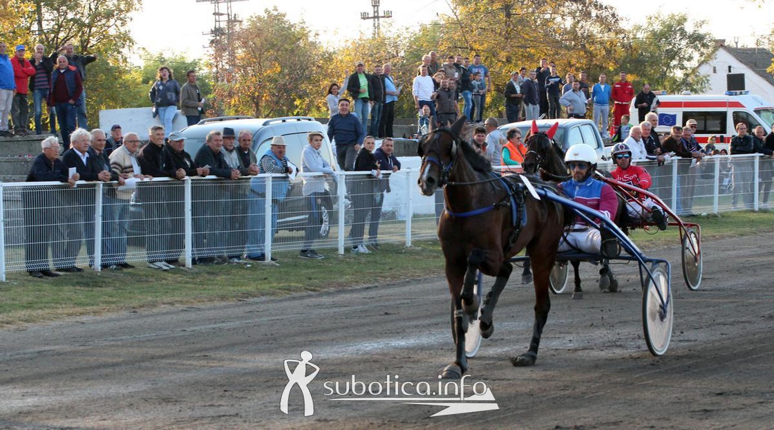 AK Tasić na Trci grada Subotica i Revanš Derby-u