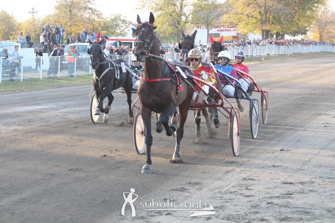 AK Tasić na Trci grada Subotica i Revanš Derby-u